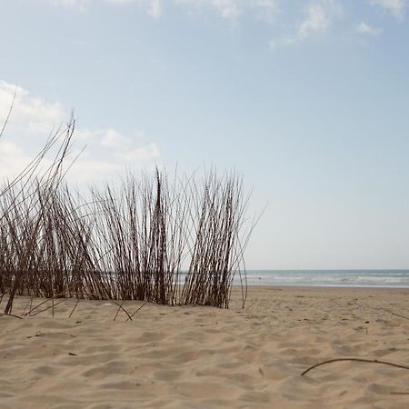 Apartamento Coquina Mrz Rentals Barbate Exterior foto