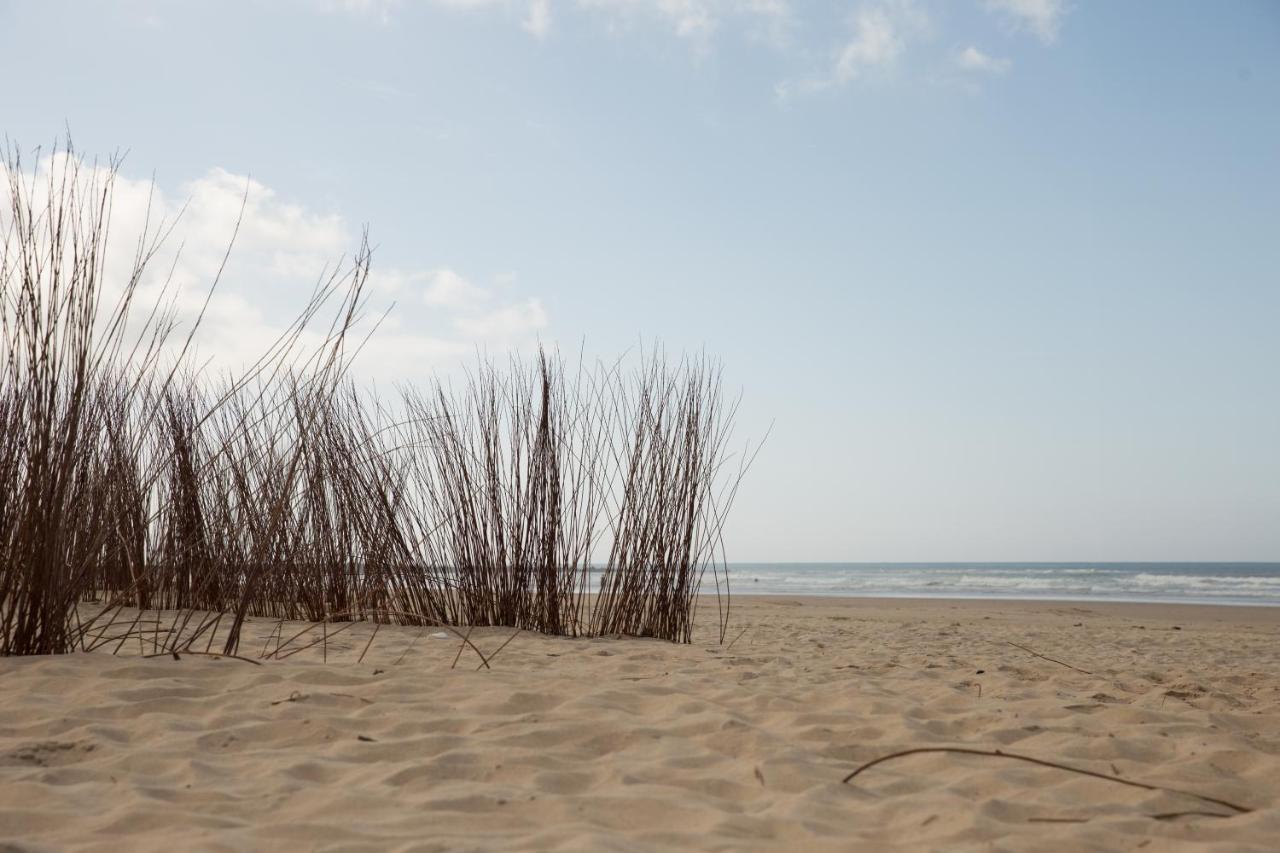 Apartamento Coquina Mrz Rentals Barbate Exterior foto